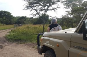Self drive in Tanzania 