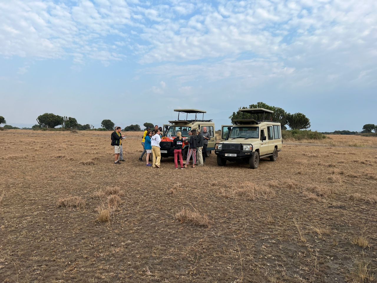 Extended Safari Landcruiser Jeep 