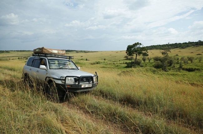 v2 Landcruiser v8 in the wild