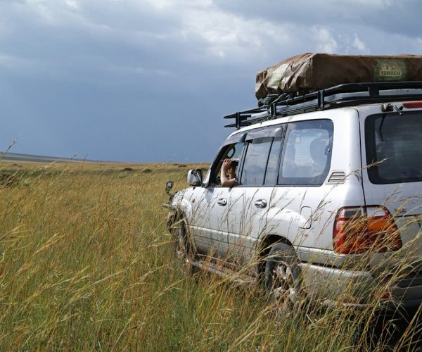 Landcruiser v8 in the wild
