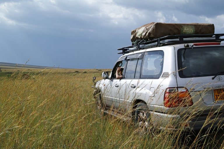 v3 Landcruiser v8 in the wild
