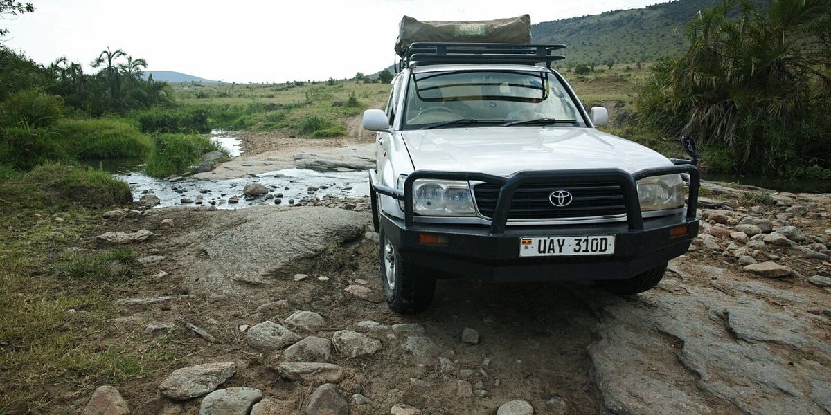 v8 Landcruiser v8 in the wild