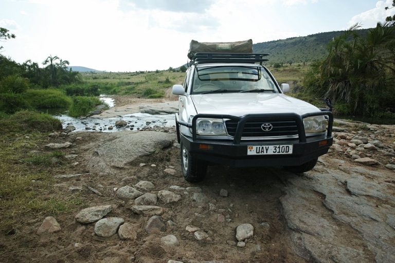 v8 Landcruiser v8 in the wild