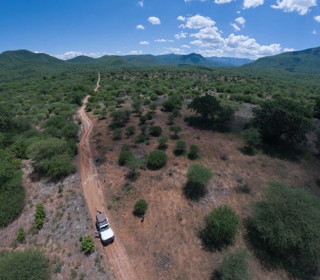 Tanznaia game reserves Tanzania National Park