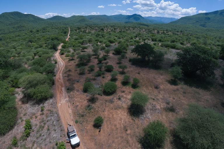 Tanznaia game reserves Tanzania National Park