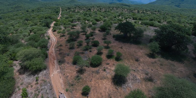 Tanzania National Park