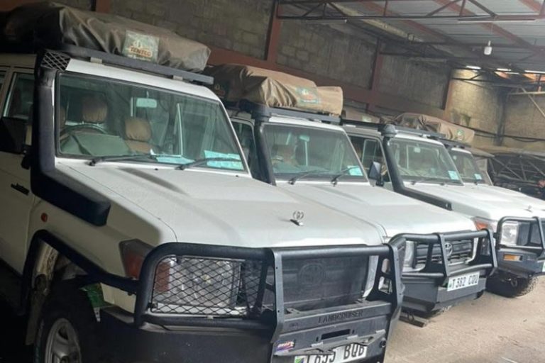 land-cruiser 78 series Landcruiser lx Manual