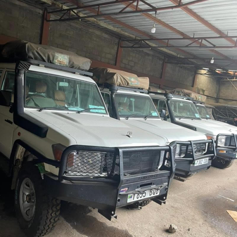 Landcruiser lx Manual 