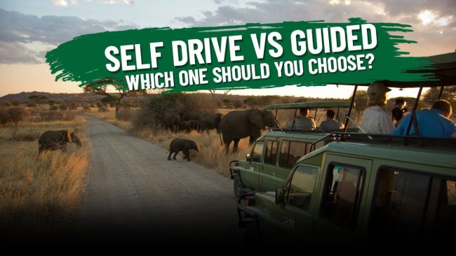 Self-driver-in East Africa Self Drive itineraries in East Africa