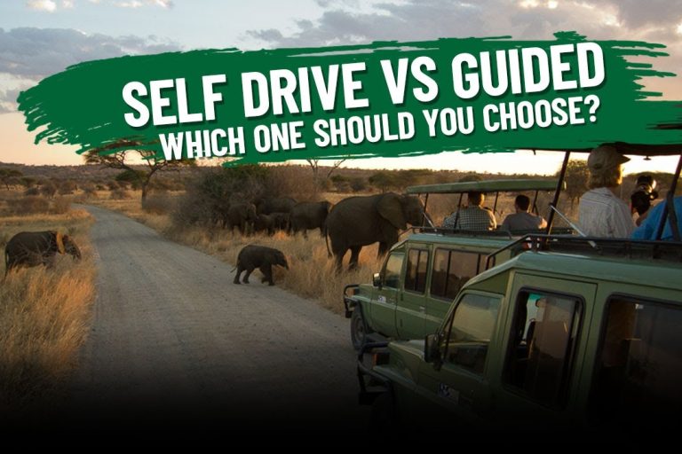 Self-driver-in East Africa Self Drive itineraries in East Africa