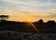 Sun Set in Saadani National Park