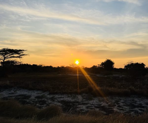 Sun Set in Saadani National Park