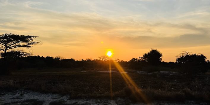 sunste-saadani Sun Set in Saadani National Park