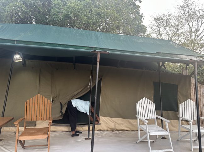 wild-camp-tents Wild Tanzania Camps