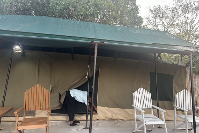 wild-camp-tents Wild Tanzania Camps