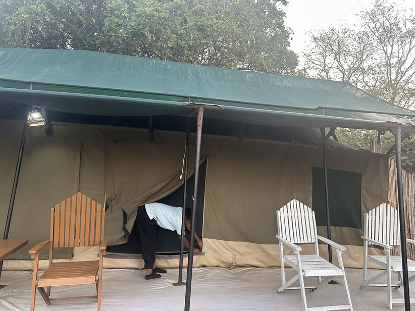 Wild Tanzania Camps
