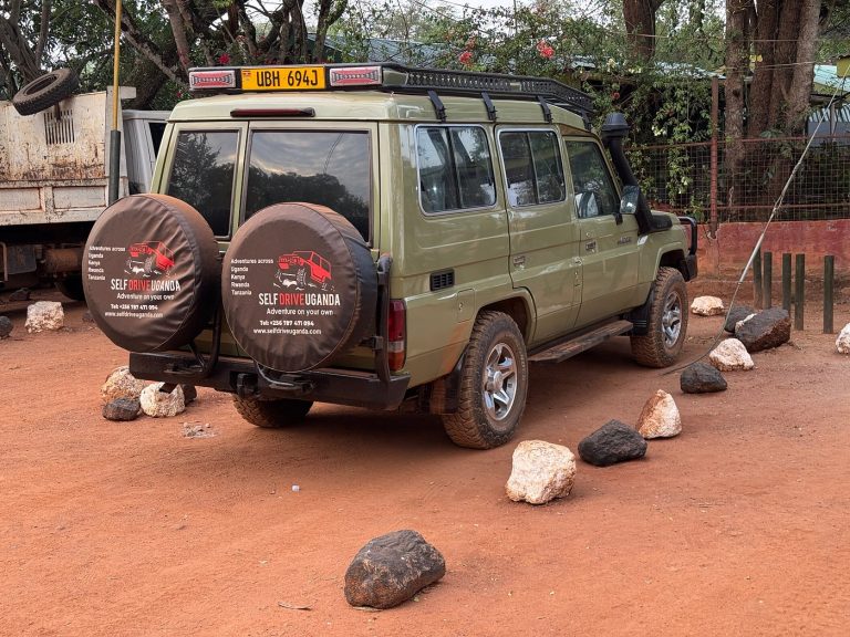 Landcruiser rental in Tanzania